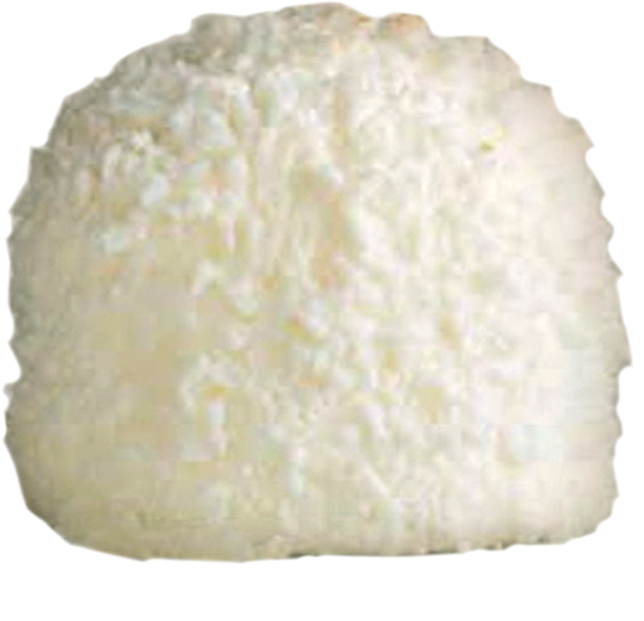 Gelato tartufo bianco